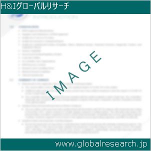 グローバルリサーチ調査レポートのイメージ